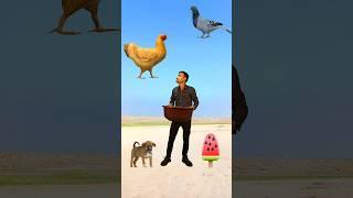 Flying crying babies Catching vs hen, parrot & puppy & yellow lizard- #funny #short