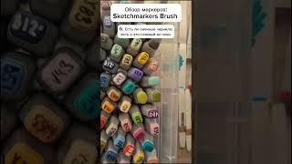 Обзор маркеров: Sketchmarkers Brush Инста: @moroshkina_school Сайт: Moroshkina.ru