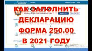 Как сдать декларацию форма 250.00. Пошаговая инструкция 2021 г.