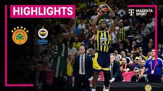 Panathinaikos Athen - Fenerbahce Beko Istanbul | Turkish Airlines EuroLeague | MAGENTA SPORT