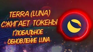 TERRA (LUNA) СЖИГАЕТ СВОИ ТОКЕНЫ/ КРУПНОЕ ОБНОВЛЕНИЕ КРИПТОВАЛЮТЫ LUNA!