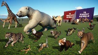 Smallest Animals VS Biggest Animals Race in Planet Zoo included Elephant, Hippo, Racoon & Tapir