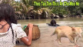 Tới Công Chuyện Ku Đen Dẫn Ma Da Tìm Thức Ăn Cho Mèo Hoang