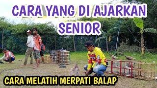 CARA MELATIH MERPATI BALAP @ALDP_CRB