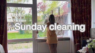 Roni Vlog, Cleaning my Home, Study