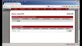 Connecting To pfSense-based OpenVPN Server From a Windows Client