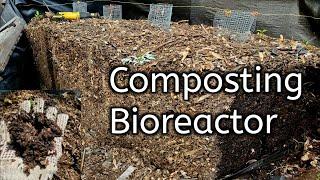 Bioreactor Compost- Opening Up My Composting Bioreactor