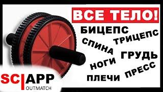 Гимнастическое Колесо Для Пресса? - Найди Ему Применение В Каждой Тренировке | Джефф Кавальер