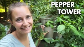 Growing Peppers in a Greenstalk Planter (Update on my Pepper Tower)