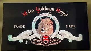 Metro-Goldwyn-Mayer (1981)