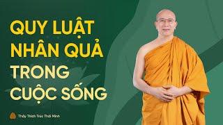 Quy luật nhân quả trong cuộc sống | Thầy Thích Trúc Thái Minh