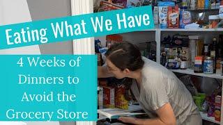 $25 Grocery Budget for 4 WEEKS | Using what we have on hand | Recipes and meal ideas | Frugal Food