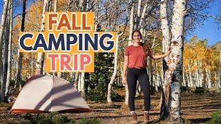 why fall camping is magical (vlog)