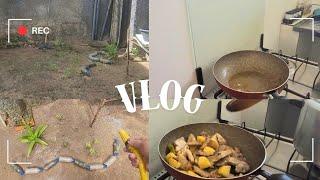 VLOG:Transforme seu jardim ‍e cozinha em tempo recorde⏳️