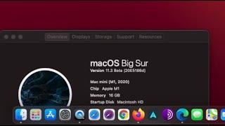 How to Exit Public Beta macOS Program