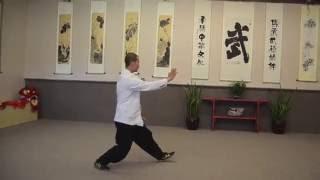 48 Yang style Tai Chi