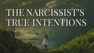 THE NARCISSIST'S TRUE INTENTIONS