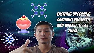 6 EXCITING Cardano Projects and where to get them