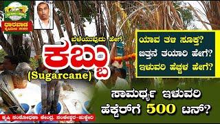 ಕಬ್ಬು | ಹೊಸ ತಳಿ | 500 ಟನ್ ಇಳುವರಿ ಸಾಮರ್ಥ್ಯ | Sugarcane Farming | Dharwad Krishi Mela 2022