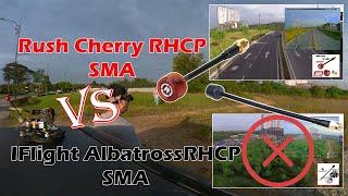 Antenna Rush Cherry RHCP SMA vs IFlight Albatross RHCP SMA