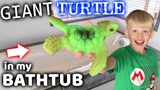 I Found a GIANT Turtle in my Bathtub!