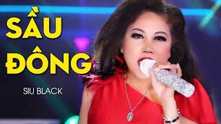 Sầu Đông - Siu Black | Nhạc Trữ Tình Hay Nhất 2022 (MV HD)