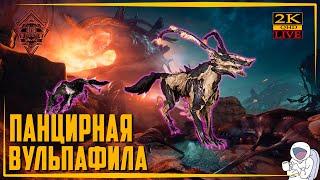 WARFRAME [1440p] Стрим  Панцирная Вульпафила