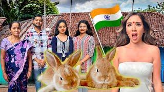 HOUSE RABBIT MAKEOVER: INDIA  | "Disabled Bunny Needs Help!" | EPISODE 10