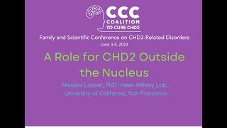 A Role for CHD2 Outside the Nucleus