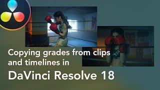 Copying grades from clips and timelines in DaVinci Resolve 18