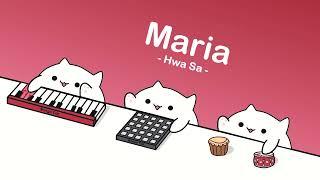 Hwa Sa(화사) - Maria(마리아) (cover by Bongo Cat) ️