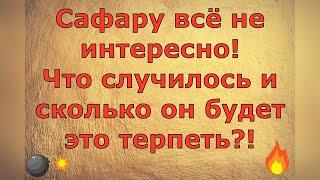 Ольга Уралочка live \ Сафару всё не интересно! Что случилось и сколько он будет терпеть?! \ Обзор