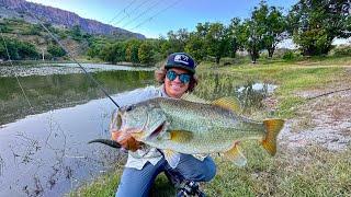 Pesca de Orilla en Lago REPLETO de Lobinas!