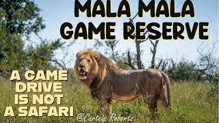 MALA MALA GAME RESERVE SOUTH AFRICA (The TRUTH)