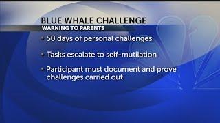 A warning to parents about potentially deadly ‘Blue Whale Challenge’