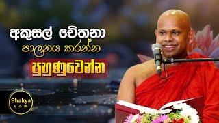 අකුසල් චේතනා පාලනය කරන්න පුහුණුවෙන්න | ven. Welimada Saddaseela thero | @shakyaarana