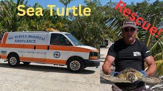 Sea Turtle Rescue & The Marathon Turtle Hospital