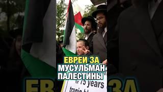 Евреи за Мусульман Палестины #palestine #israel #muslim #islam #палестина #мусульмане #ислам