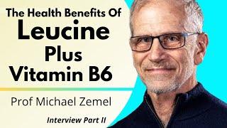 Leucine & Vitamin B6 Enhances Metabolic Health In Human Trials | Prof Michael Zemel  Ep 2