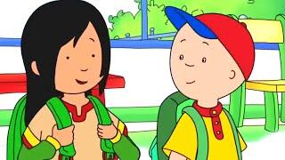 La nueva amiga de la escuela | Caillou en Español Castellano