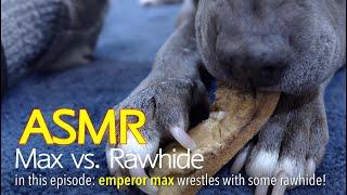 Max Vs. Rawhide | ASMR DOG EATING | No Talking