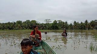 BERPETUALANG MENCARI BAHAN MAKANAN  || DI SAAT BANJIR GA ADA TUKANG SAYUR YG LEAWAT