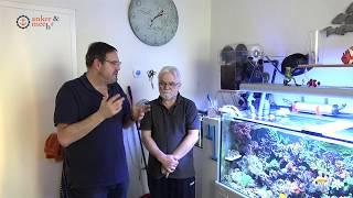 Hausbesuche: Meerwasser Besuch beim Züchter Achim Kahlert
