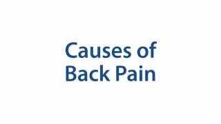 What causes back pain?