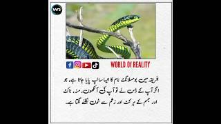 Maloomat Ka Khazana: Dunia, Science aur History" #worldofreality #facts #information #viralvideo