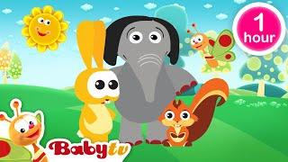 Jouer au football ​ + plus de classiques de BabyTV  | épisodes complets @BabyTVFR