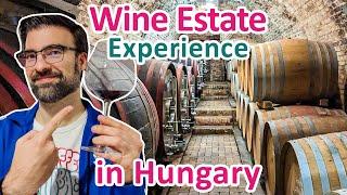 TRADITIONAL GUESTHOUSE and WINERY Experience in HUNGARY's Countryside | Fritz Borbirtok, Szekszárd