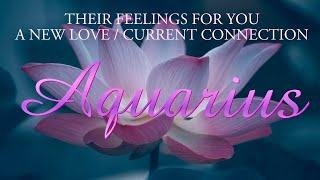 AQUARIUS love tarot ️ You Really Need To Know Why This Person Is Silent At The Moment Aquarius