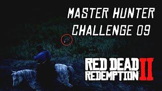 Red Dead Redemption 2 - Master Hunter Challenge #9 | Kill An Opossum Playing Possum