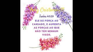 Verso no Christmas!!!️ VAMOS LOUVAR PELO PROVAVELMENTE ANIVERSÁRIO DE JESUS CRISTO!!! #jesuscristo